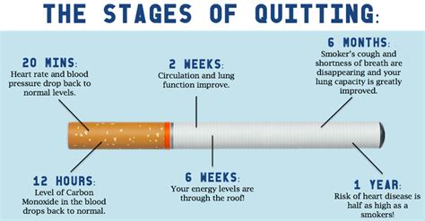 smoking cessation timeline legacy spine and neurological specialists