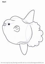 Sunfish Drawingtutorials101 Adding sketch template