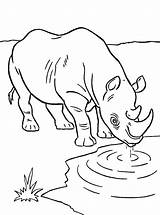 Neushoorn Rhinoceros Afrikaanse Fun sketch template