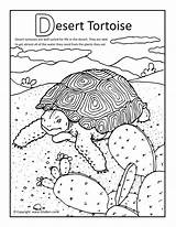 Desert Coloring Pages Tortoise Animals Plants Canyon Drawing Grand Ecosystem Habitat Sulcata Kids Colouring Printable Color Oasis Landscape Print Tortoises sketch template