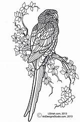 Perroquet Coloriage Dessin Colorier Pattern Mandala Imprimer Macaw Lsirish Wood Dessins Simplifying Realiste Pyrography Un Branche Carving Patterns Relief Magique sketch template
