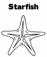 Coloring Starfish Pages Choose Board Color Sheets Fish sketch template