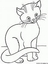 Coloring Cat Kitten Pages Realistic Cats Outline Sheet Popular Coloringhome Comments sketch template