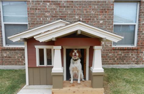 adorable dog houses  adorable home