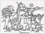 Coloring Animals Pages Jungle Preschool Polar Getdrawings sketch template