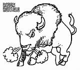 Bison Coloring Pages Printable sketch template