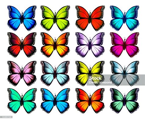 Ilustración De Gran Colección De Mariposas De Colores Vector Y Más
