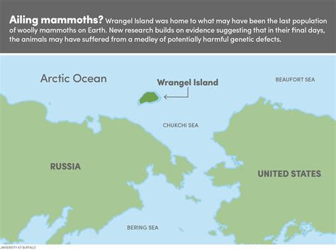 woolly mammoths  earth  disastrous dna  science