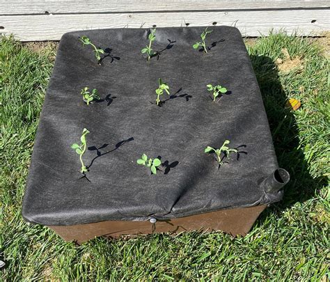 mulch cover replacement fits     raised garden grow etsy