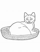 Coloring Cat Basket Lazy Kitty Yarn Its sketch template
