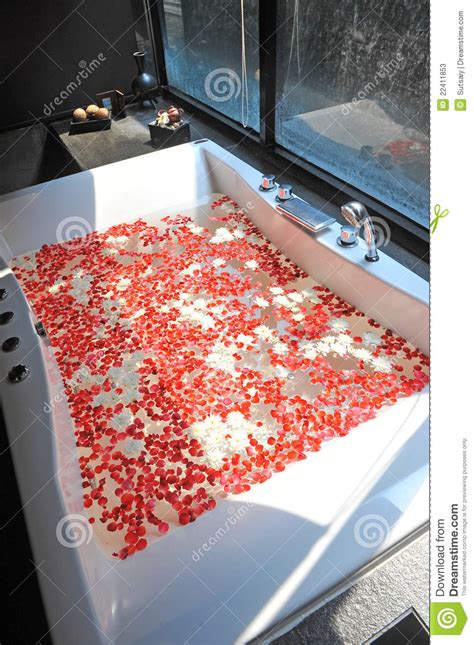 rose spa stock image image  harmony attractive luxury