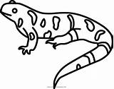 Salamander Salamandra Ausmalbilder Colorare Ultracoloringpages Disegni sketch template
