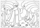 Moses Colouring Parting Frogs Plague Activityvillage Printable sketch template