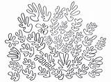 Matisse Snail Henri sketch template