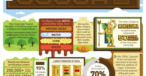Fun Facts About Cocoa Infographic Mindbodygreen