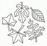 Coloring Pages Leaves Fall Color sketch template