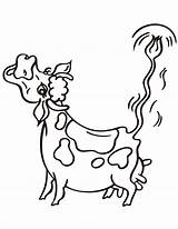 Cow Coloring Mooing Clipart Pages Cartoon Moo Tail Clarabelle Cliparts Printable Cute Cartoons Template Popular Clipground Comments 2021 sketch template