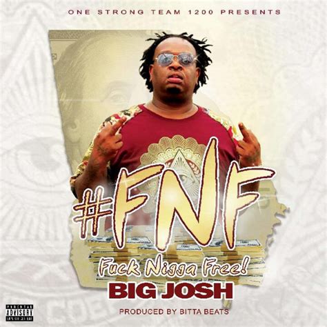 fuck nigga free fnf album by big josh spotify