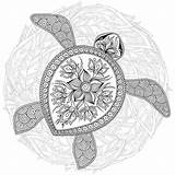 Schildpad Decorativa Tartaruga Grafica Modello Decoratieve Grafische Patroon Boek Animal Turtles Totem Henna Mehndi Intricate Ilustração sketch template