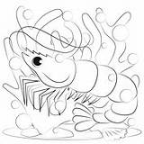 Coloring Crustacean Pages Shrimp sketch template
