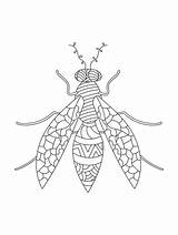 Wasp Adults Doodle sketch template