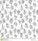 Seamless Getrokken Stijl Grafische Witte Bloemen Kleuren sketch template