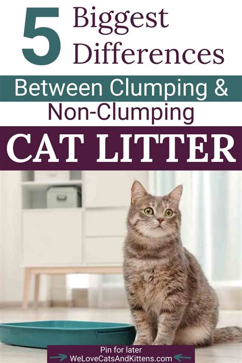 whats   cat litter clumping   clumping litter