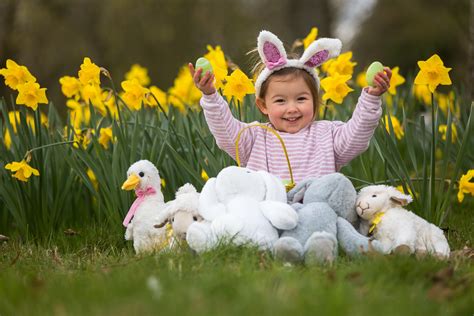 easter baby bunny photoshoot hampshires top attractions