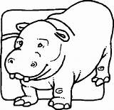 Coloring Pages Hippopotamus Comments Hippo sketch template