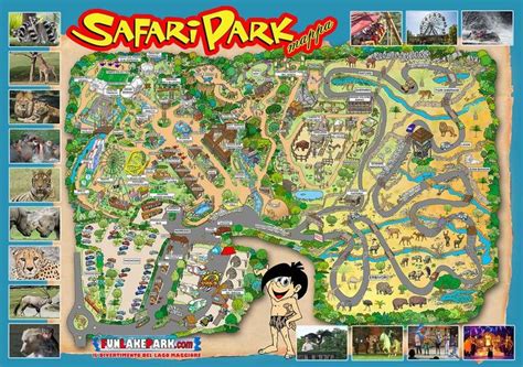 safaripark divertimento parco divertimenti mappa