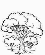 Coloring Pages Trees Tree Mountains Mountain Drawing Kids Beautiful Colouring Popular Getdrawings Craft Books sketch template