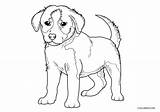 Puppy Collie sketch template