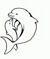 Delfin Meerjungfrau Delphin Malvorlage sketch template