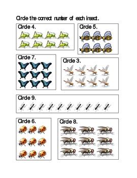 insect theme counting worksheets  jer llc tpt
