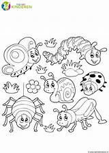 Insecten Kleurplaten Kleurplaat Dieren 1279 Tijdmetkinderen Kriebeldiertjes Wilde Uitprinten Downloaden Exotische Huisdieren sketch template