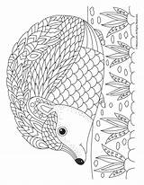 Hedgehog Coloring Adult Pages Mandala Printable Animal Dyr Kopitegninger Kids Woojr Activities Template Flower Visit Fall Choose Board sketch template