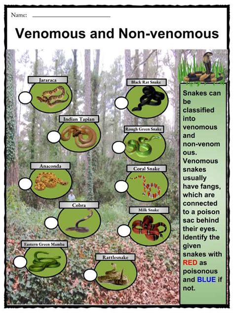 snakes facts worksheets habitat types   world  kids