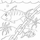 Fish Coloring Pages Drawing Colouring Printable Line Chain Clip Animal Striped Desenho Kindergarten 2010 Cartoon Tank Seipp Dave Drawn Print sketch template