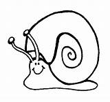 Snail Coloring Colorear Pages Coloringcrew Gif Animals sketch template