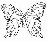 Papillon Kleurplaten Papillons Schmetterling Magnifique Dieren Vlinders Vlinder Colorier Ausmalbild 1001 Uitprinten Downloaden Schmetterlinge Insekten sketch template