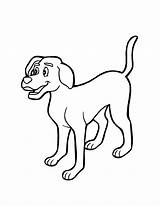 Cachorro Cachorros Desenho Colorear Aso Activity Cachorrinhos Cachorrinho Dog2 Em Pinscher Cadela Atividades Tímido Dublado Teletubes Qdb Escolha sketch template