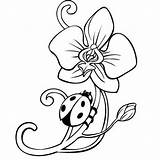 Ladybug Orchid Lineart Colorare Orchidee Orchids Coloriage Preschoolers Bug Tattootribes Orchidea Outlines Besuchen Coccinella Fiore sketch template