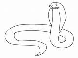Snake Coloring Pages Snakes Animals Printable Animal Kb Drawing sketch template