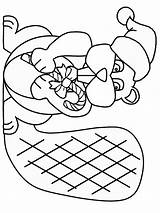 Beaver Coloring Pages Christmas Print Color Coloring2print Books sketch template