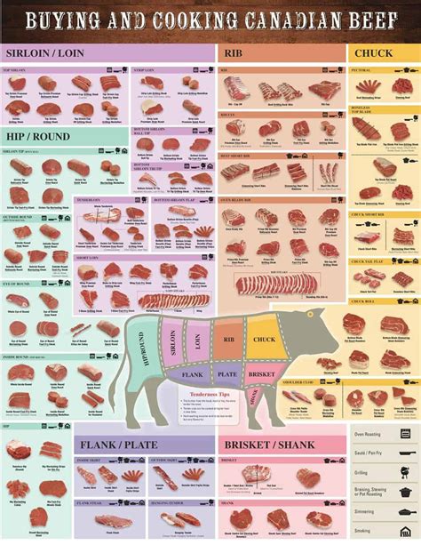 cuts  canadian beef   guide
