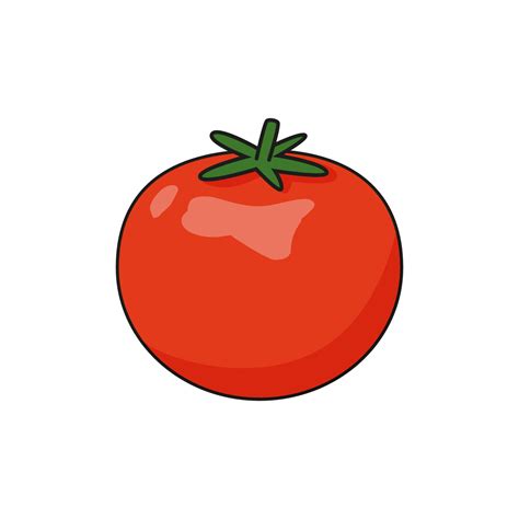 vector red tomato illustration drawn  cartoon style  vector