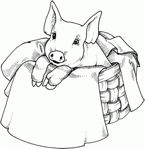 cute pig coloring pages nl