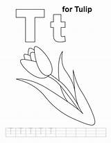 Letter Coloring Tulip Pages Learn Color Alphabet Letters Choose Board sketch template