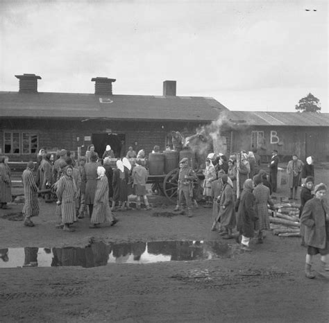 file the liberation of bergen belsen concentration camp
