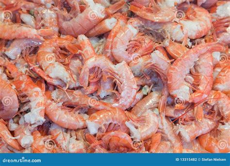 uncooked shrimp stock photo image  white menu fish